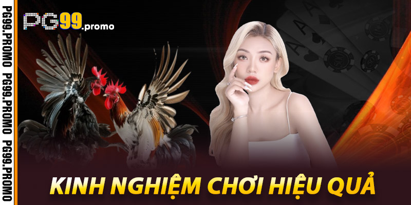 Đá Gà Pg99 - Cách Chơi và Những Chiến Lược Thành Công 3 Kinh nghiem choi hieu qua